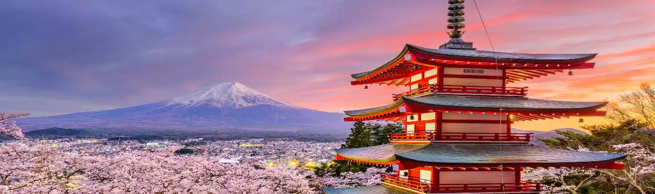 Vayudoot Tours and Travels